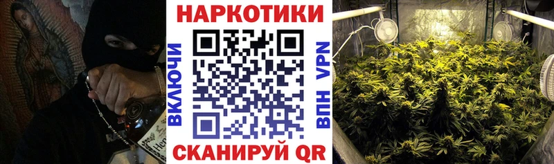 Где купить Трубчевск Бутират  Гашиш  COCAIN 