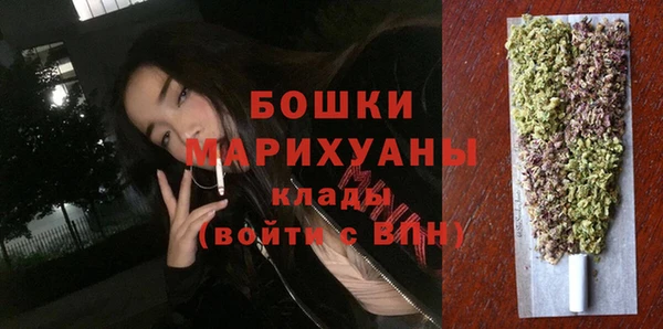 PSILOCYBIN Белокуриха