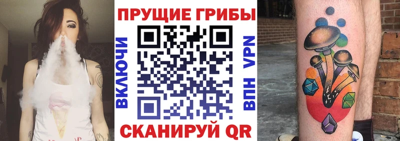 Псилоцибиновые грибы Psilocybine cubensis Трубчевск